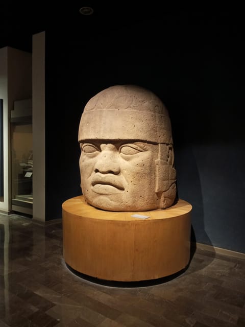 Guided Tour of the Museum of Anthropology - Booking Information