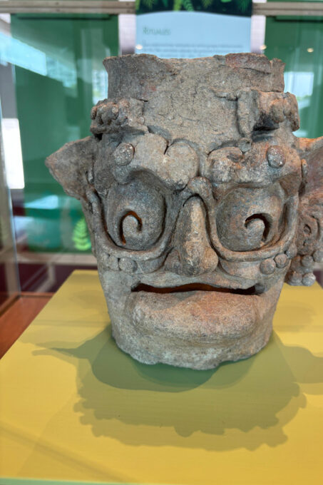 Guided Tour of the Museum of Anthropology - Museum Construction and Purpose