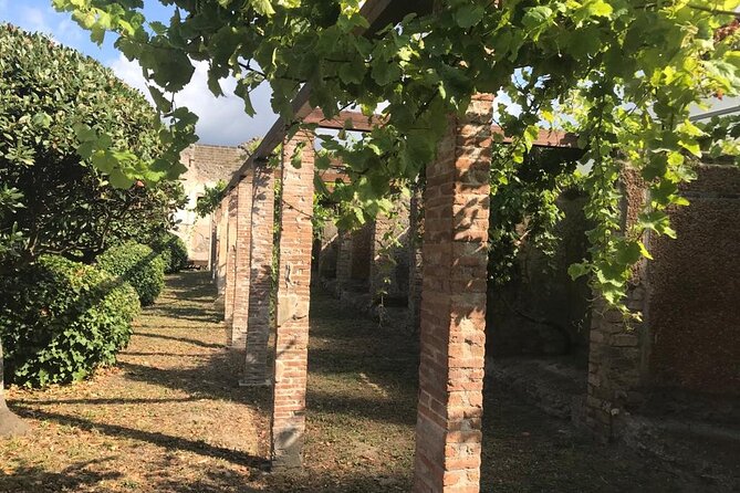 Guided Tour of the Pompeii Excavations From the Amalfi Coast - Tour Overview