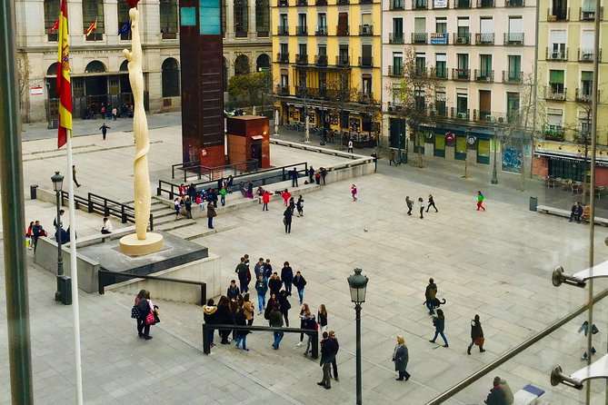 Guided Tour of the Reina Sofia Museum in Madrid, Entrance Fees and Pick up at the Hotel. - Accessibility and Participation