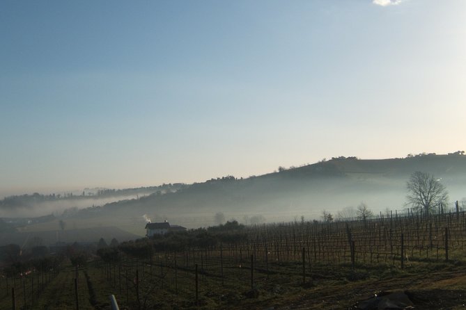 Guided Tour of the Winery in Bertinoro (Forlì-Cesena) With Wine Tasting - Key Points