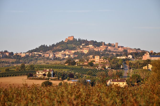 Guided Tour of the Winery in Bertinoro (Forlì-Cesena) With Wine Tasting - Accessibility and Accommodations