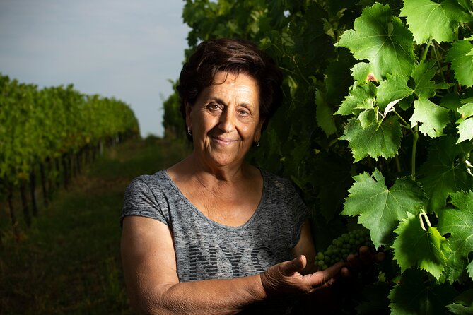 Guided Tour of the Winery in Bertinoro (Forlì-Cesena) With Wine Tasting - Location and Duration