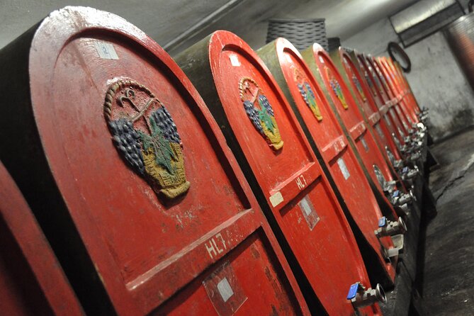 Guided Tour of the Winery in Bertinoro (Forlì-Cesena) With Wine Tasting - Traveler Ratings and Photos