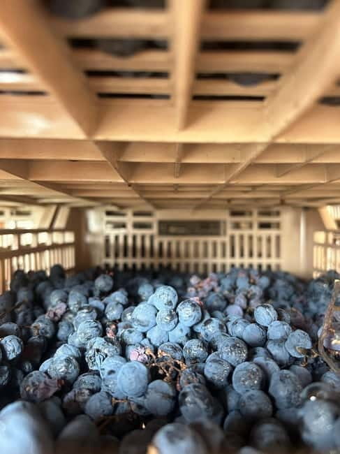 Guided Tour of the Winery With Wine Tasting - Wine Tasting Highlights