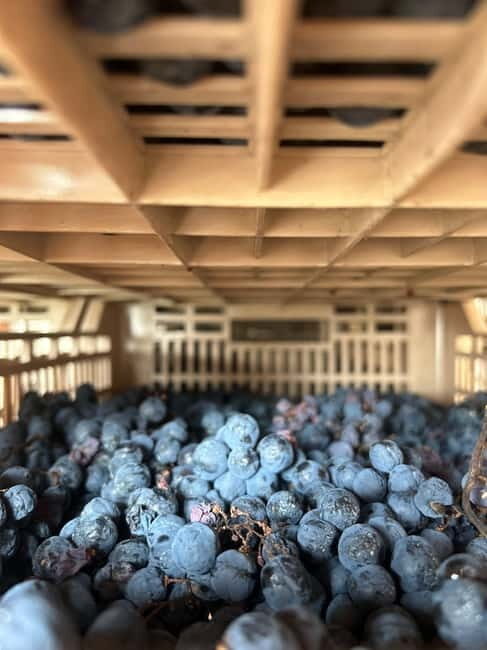 Guided Tour of the Winery With Wine Tasting - Purchasing Opportunities After the Tour