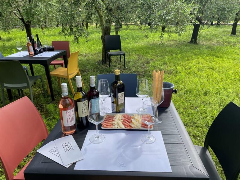 Guided Tour of the Winery With Wine Tasting - Since Your Asked