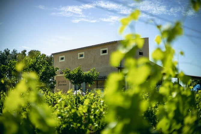Guided Tour of the Winery With Wine Tasting, Vineyard and Much More! - About Your Stay