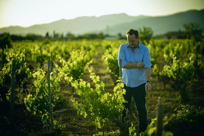 Guided Tour of the Winery With Wine Tasting, Vineyard and Much More! - Winery Tour and Grape Tasting