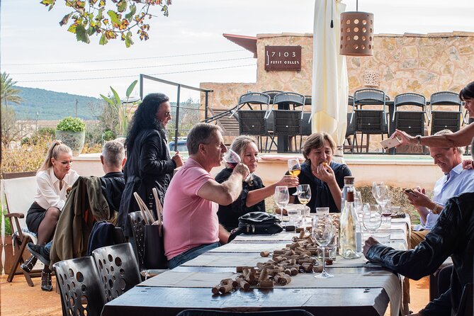 Guided Tour of the Winery With Wine Tasting, Vineyard and Much More! - Exceptional Wines and Hospitality