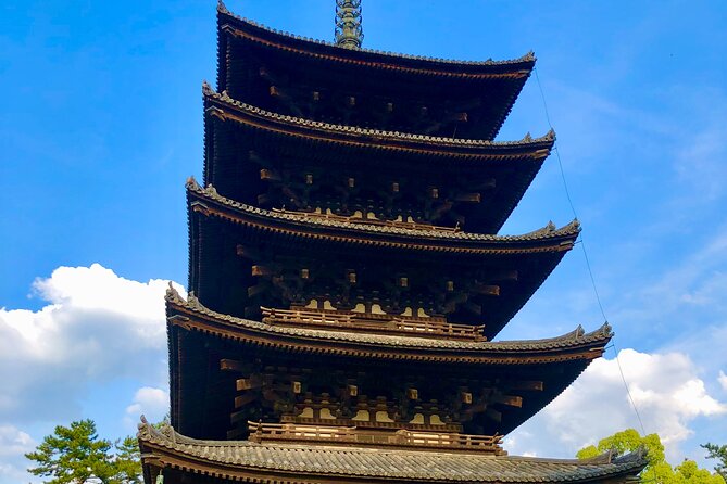 Guided Tour of Todaiji and Nara Park (Guide in English) - Minimum Traveler Requirement