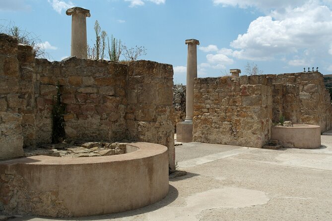 Guided Tour of Villa Romana Del Casale With Skip the Line - Bilingual Tour Experience