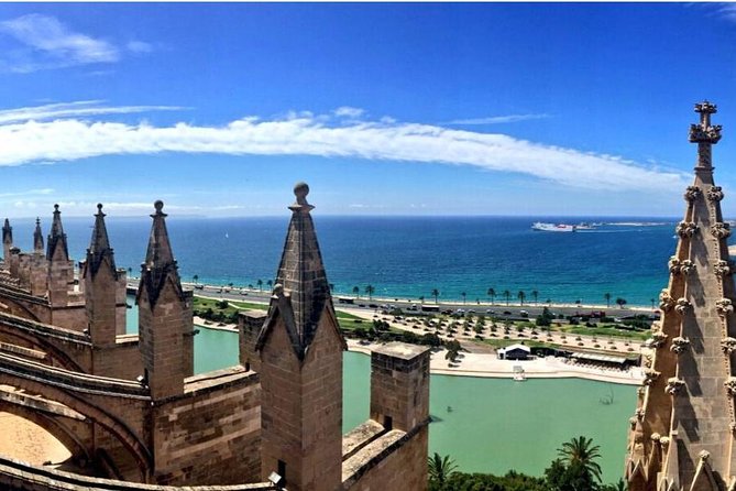Guided Tour: Palma Old Town and Cathedral Visit - Tour Highlights