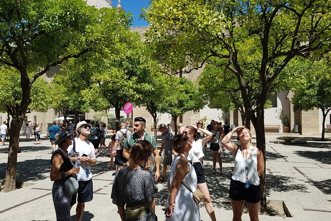 Guided Tour Sevilla Cathedral - Discounted Rates for Seniors