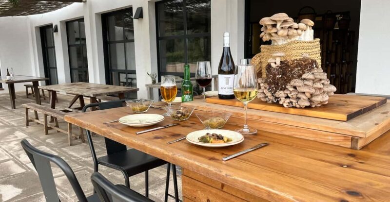 GUIDED TOUR + TASTE IN A MUSHROOM FARM - Educational Focus on Mycology