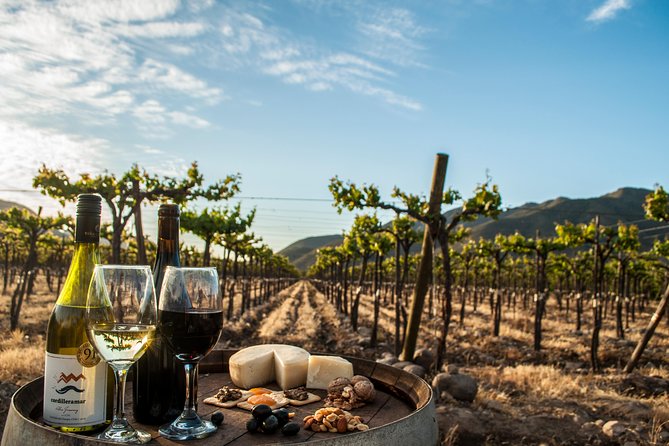 Guided Tour, Tasting and Pairing in Viña Choapa, Salamanca, Coquimbo Region. - Key Points