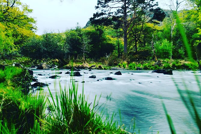Guided Tour The Ring of Kerry, Skellig Ring and Valencia Island - Reviews