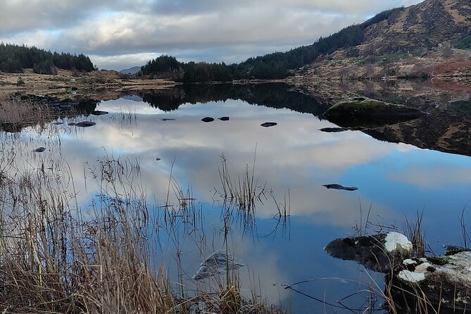 Guided Tour The Ring of Kerry, Skellig Ring and Valencia Island - Exploring Skellig Ring and Valencia Island
