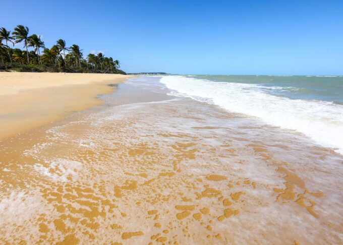 Guided Tour to Caraíva - Beaches of Porto Seguro - Frequently Asked Questions