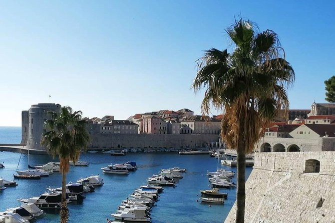 Guided Tour to Discover Dubrovniks Old Town, by Day or Night - Exploring Historic Sites and Monuments