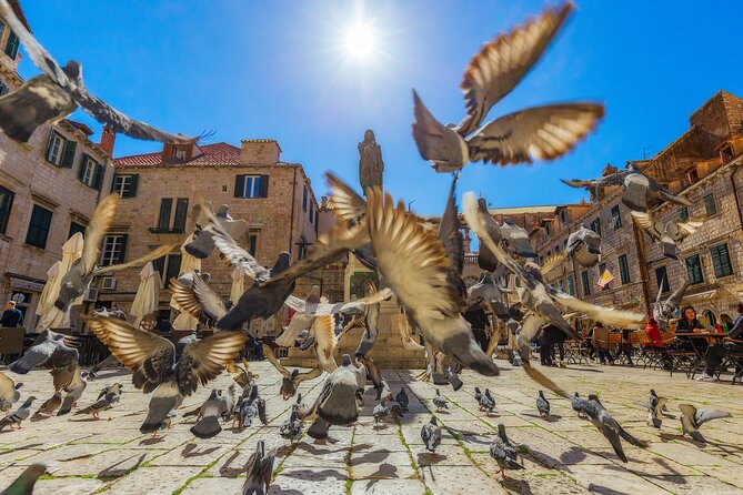Guided Tour to Discover Dubrovniks Old Town, by Day or Night - Meeting Point and End Point