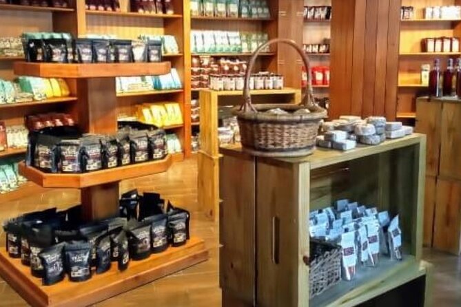 Guided Tour to Don Lucas Cigars Factory and Souvenirs Store - Group Size and Transport