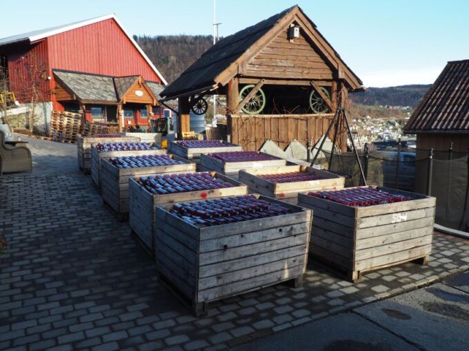 Guided Tour to Hardanger Fjord, Waterfalls, Ferry Crossing - Scenic Bus Ride Stops