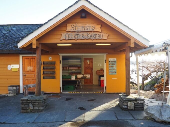 Guided Tour to Hardanger Fjord, Waterfalls, Ferry Crossing - Recap