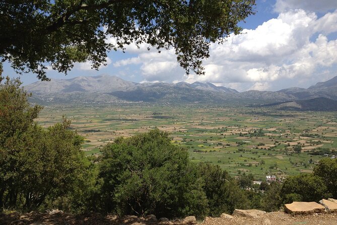 Guided Tour to Lasithi Plateau - Tour Operator and Languages
