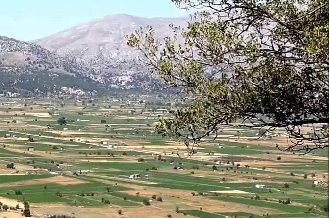Guided Tour to Lasithi Plateau - Reviews and Ratings