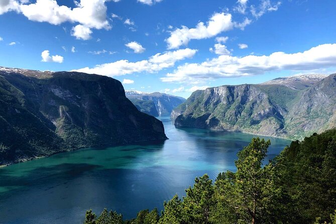 Guided Tour To Nærøyfjorden, Flåm And Stegastein - Viewpoint Cruise - Key Stops