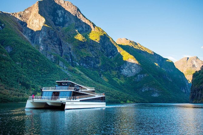 Guided Tour To Nærøyfjorden, Flåm And Stegastein - Viewpoint Cruise - Tour Inclusions