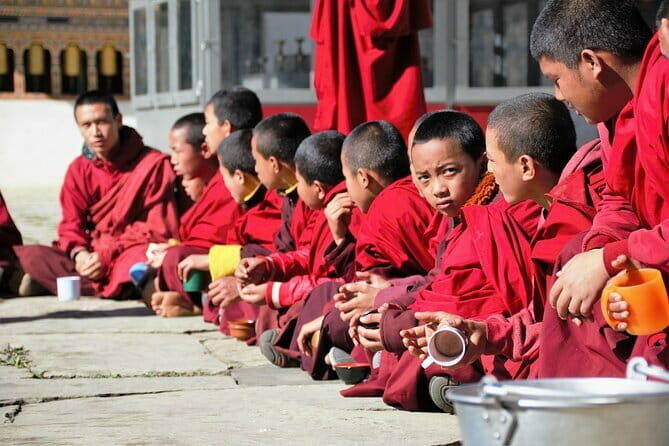 Guided Tour to Palampur-Monasteries, Temple & Tea Gardens visit - The Itinerary in Detail