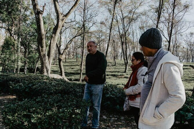 Guided Tour to Palampur-Monasteries, Temple & Tea Gardens visit - Final Thoughts