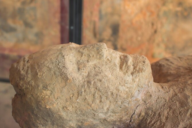 Guided Tour to Pompeii From Sorrento - Guide and Commentary Quality