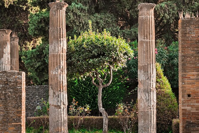 Guided Tour to Pompeii From Sorrento - Worth The Stay