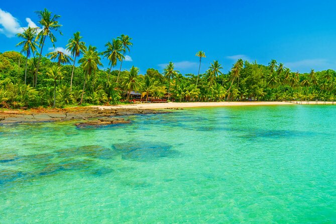 Guided Tour to Saona Island From Punta Cana - Tour Overview