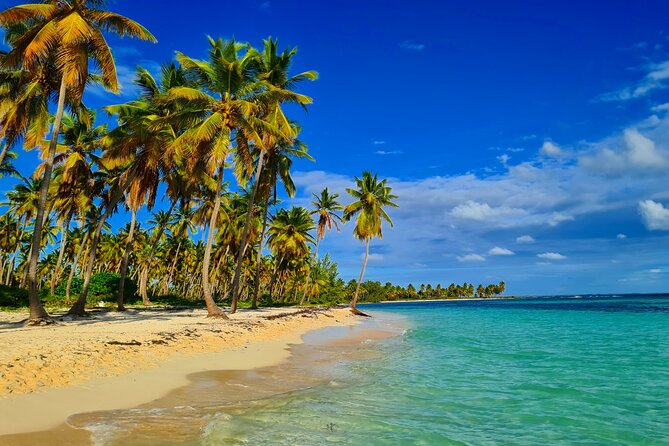 Guided Tour to Saona Island From Punta Cana - Highlights of Saona Island