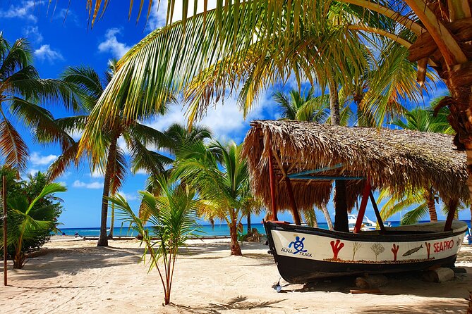 Guided Tour to Saona Island From Punta Cana - Tour Overview