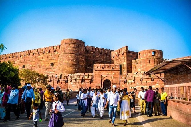 Guided Tour to Tajmahal & Wildlife SOS With Transports From Delhi - Personalized Attention and Guidance