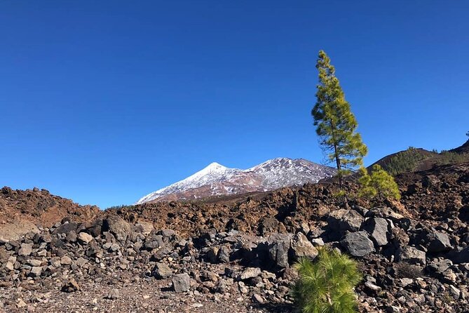 Guided Tour to Teide National Park in Tenerife - Scenic Highlights