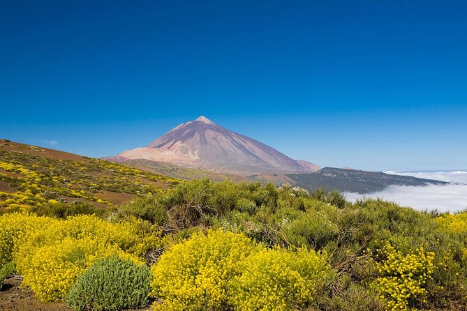 Guided Tour to Teide National Park in Tenerife - Tour Logistics