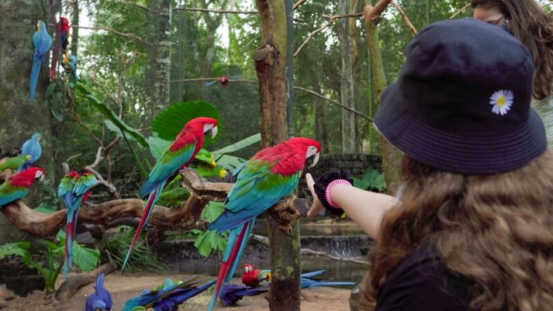 Guided Tour to the Bird Park - VIP Tour - Highlights of the Tour