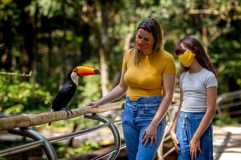 Guided Tour to the Bird Park - VIP Tour - Parks Conservation Efforts