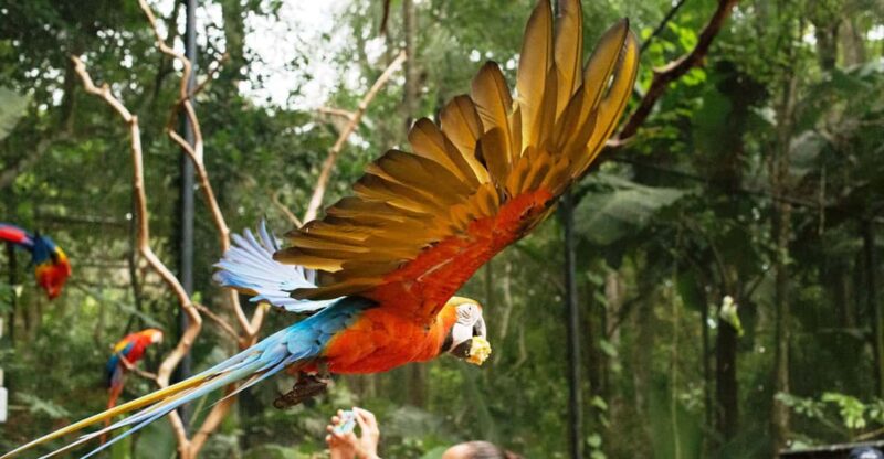 Guided Tour to the Bird Park - VIP Tour - Booking Details and Discounts
