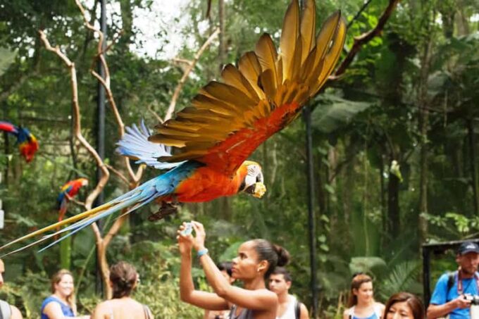Guided Tour to the Bird Park - VIP Tour - Pickup and Transportation