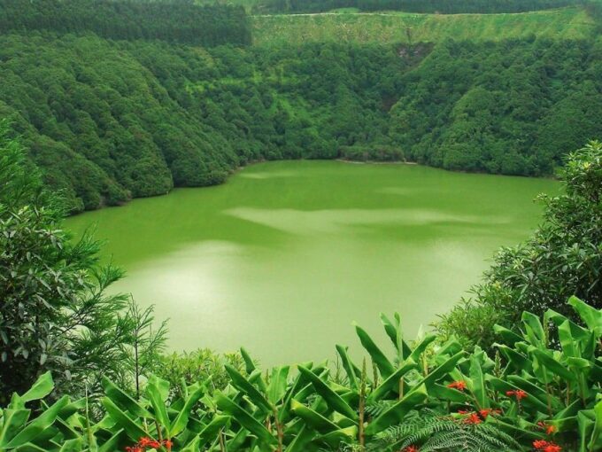 Guided Tour to the Green & Blue Lake of Sete Cidades - Additional Details