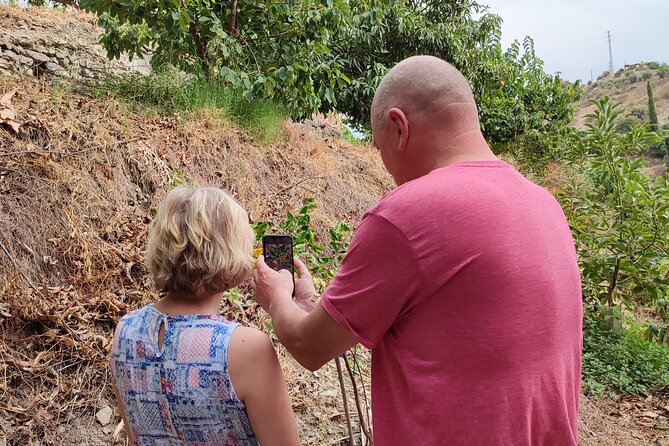 Guided Tour to the Only Coffee Farm in Europe - Tour Requirements