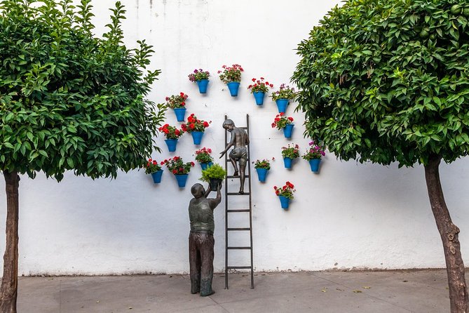 Guided Tour to the Popular Patios of Cordoba - Customs and Traditions of Patios