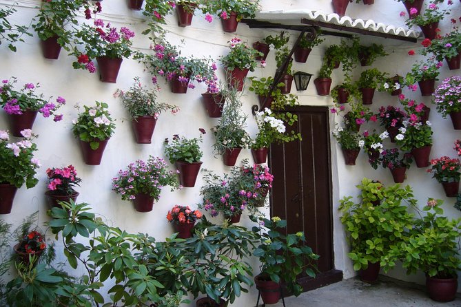 Guided Tour to the Popular Patios of Cordoba - Professional Art Historian Guide